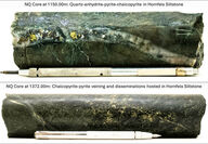 Sections of drill core with significant veining and copper mineralization.