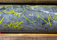 Core from drilling the Big Missouri deposit with a bleb of visible gold circled.