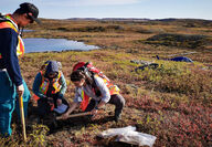 Three geologists collect soil samples at a Blue Star Gold project in Nunavut.