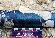 Massive chunks of blue bornite copper mineralization in a section of drill core.