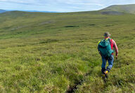 Geologist hiking through the Yukon plains in Summer.