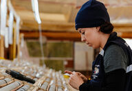 A female geologist logs core inside a building at the Lawyers-Ranch project.