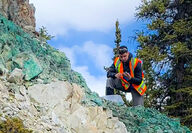 Geologist examining highly copper mineralized slope.