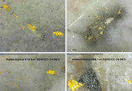 Close-up of visible gold in drill cores at various depths from RC Gold project.