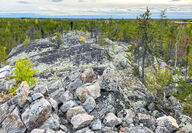 Li-FT geologists examining exposed pegmatite at Yellowknife Lithium project.