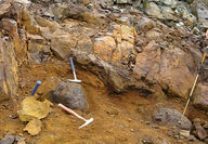 Three rock hammers show the scale of the highly oxidized outcrop at Nikolai.