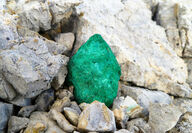 A bright green rock from copper mineralization among white rocks.