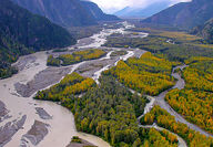 A braided section of the Taku River runs alongside fall foliage in Northern BC.