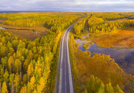 Paved highway cuts across sea of yellow foliage on a fall day in Alaska.